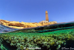 Brother Island by Tamer Eren 